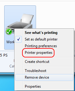 Selected Printer Properties
